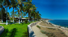 banwormer_banner